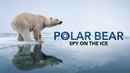 Polar Bear - Spy On The Ice Poster 2