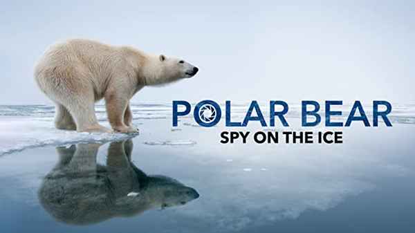 Polar Bear - Spy On The Ice Poster 2