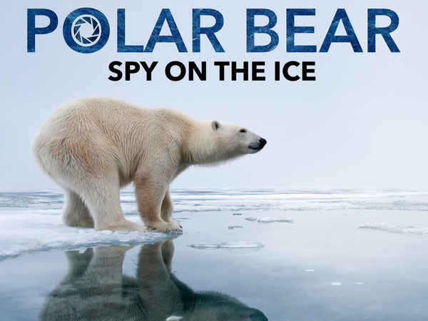 Polar Bear - Spy On The Ice Poster 1