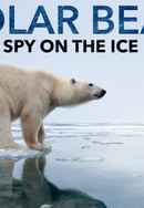 Polar Bear - Spy On The Ice Poster 6