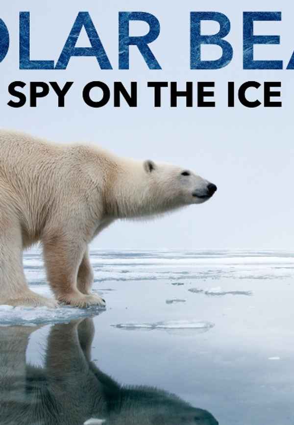 Polar Bear - Spy On The Ice Poster 6