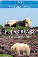 Polar Bears: A Summer Odyssey Poster 4