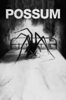 Possum Poster 6