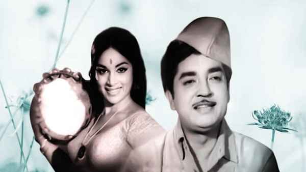 Postmane Kananilla Poster 6