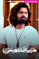 Pranayavarnangal Poster 4