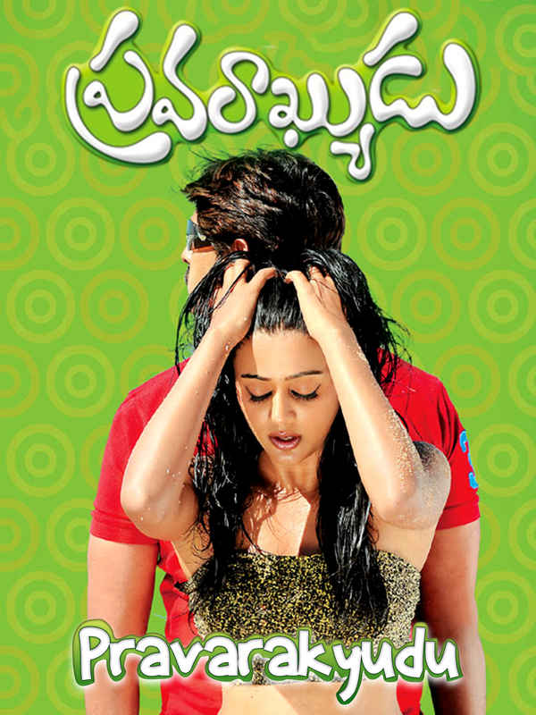 Pravarakyudu Poster 4
