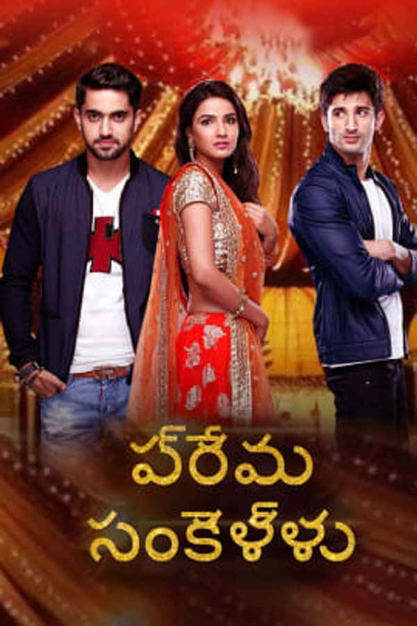 Prema Sankellu Poster 1