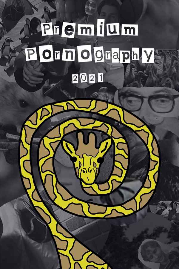 Premium Pornography Poster 2