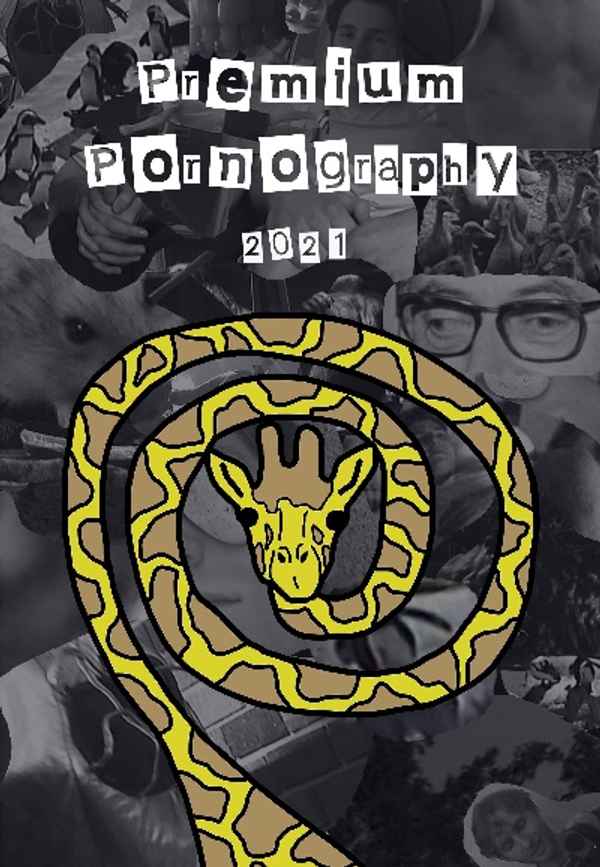 Premium Pornography Poster 4