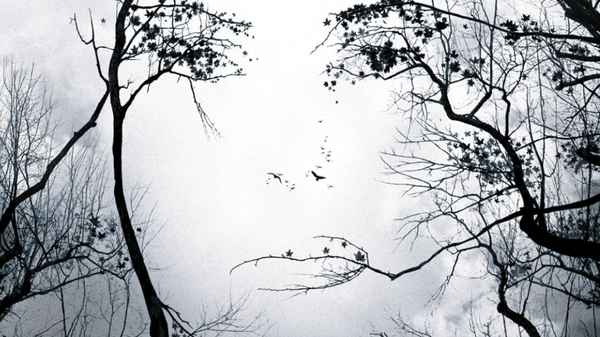 Premonition Poster 5