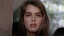 Pretty Baby: Brooke Shields Poster 4