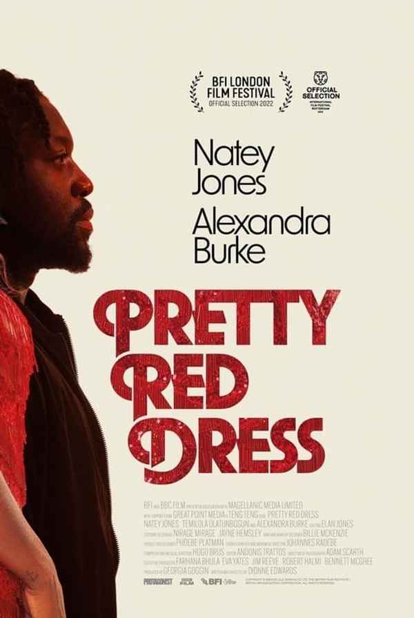 Pretty Red Dress Poster 7