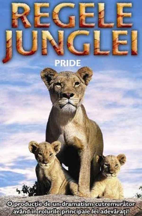 Pride Poster 5