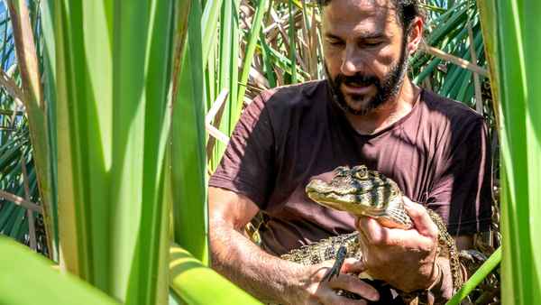 Primal Survivor: Over the Andes Poster 4