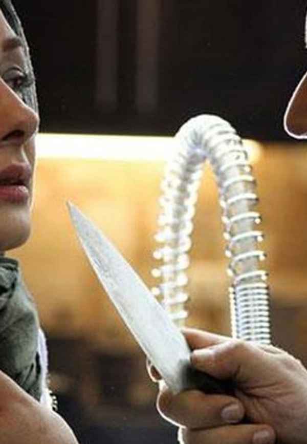 Private Life Poster 4