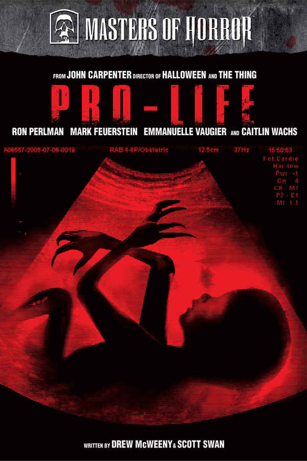 Pro-Life Poster 4