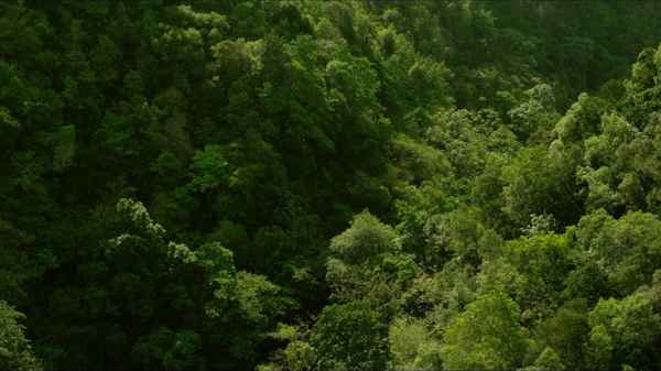 Project Eden: Vol. I Poster 2