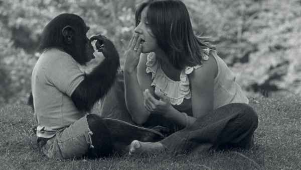 Project Nim Poster 1