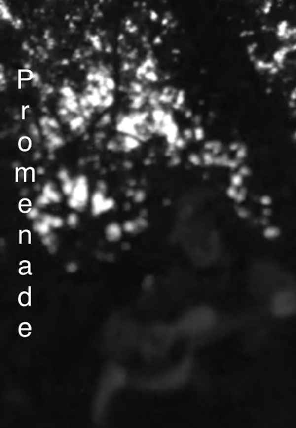 Promenade Poster 2
