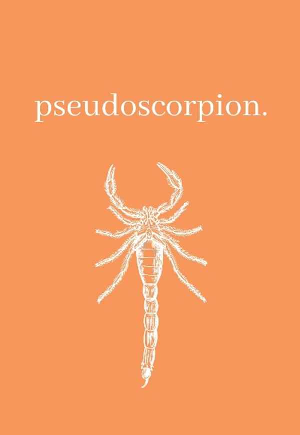 Pseudoscorpion Poster 2