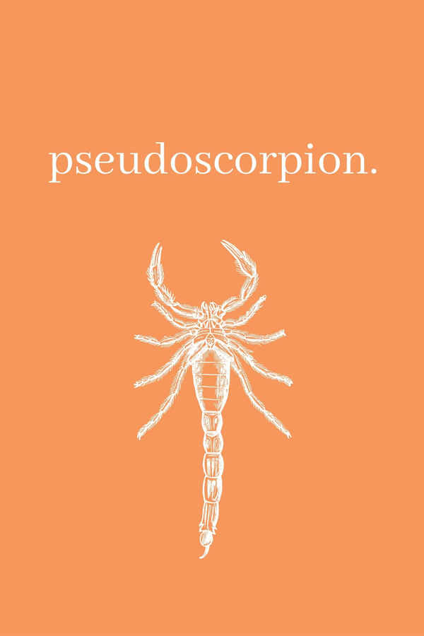 Pseudoscorpion Poster 1