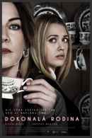 Psycho Granny Poster 1