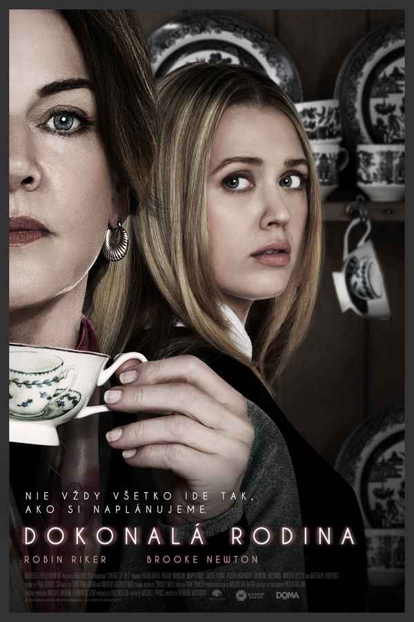 Psycho Granny Poster 1