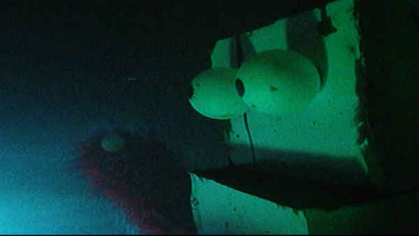 Public Access Limited Poster 1