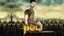 Puli Poster 5