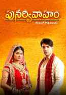 Punar Vivaaham Poster 6