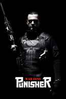 Punisher: War Zone Poster 4