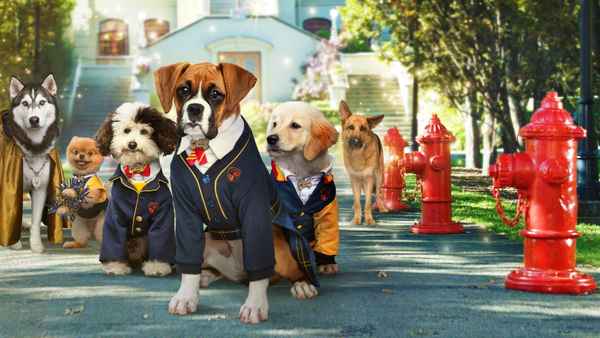 Pup Academy Poster 3