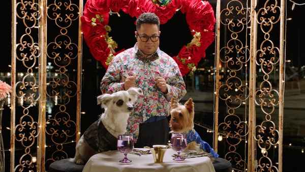 Pup Star: World Tour Poster 2