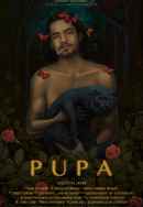 Pupa Poster 2
