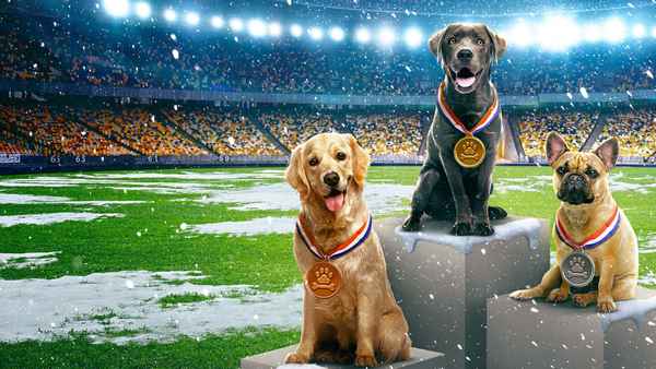 Puppy Bowl Presents: The Winter Games Poster 3