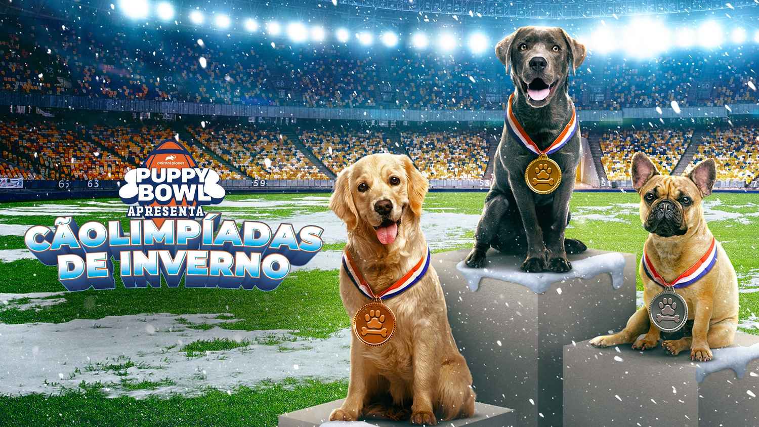 Puppy Bowl Presents: The Winter Games