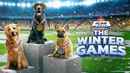 Puppy Bowl Presents: The Winter Games Poster 2