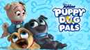 Puppy Dog Pals Poster 5