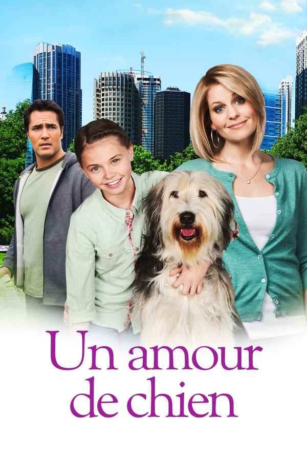 Puppy Love Poster 6