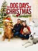 Puppy Love for Christmas Poster 6