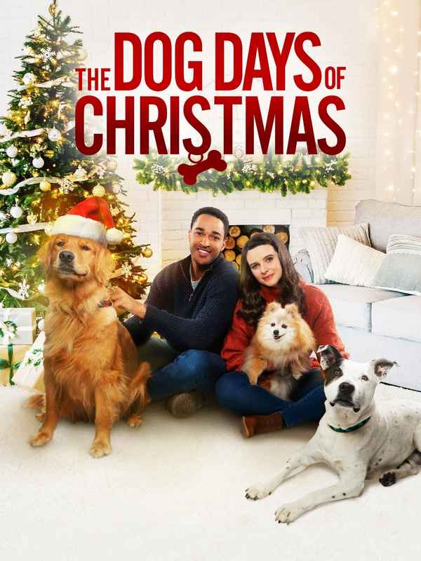 Puppy Love for Christmas Poster 6