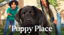 Puppy Place Poster 4