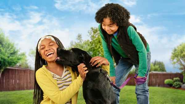 Puppy Place Poster 5