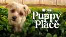Puppy Place Poster 2