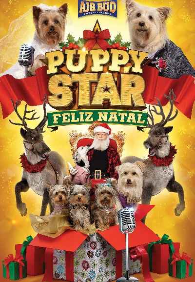 Puppy Star Christmas