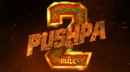 Pushpa: The Rule - Part 2 (పుష్ప ది రూల్ : పార్ట్ 2) Poster 4