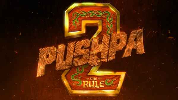 Pushpa: The Rule - Part 2 (పుష్ప ది రూల్ : పార్ట్ 2) Poster 4