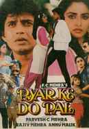 Pyar Ke Do Pal Poster 7