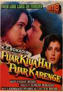 Pyar Kiya Hai Pyar Karenge Poster 3