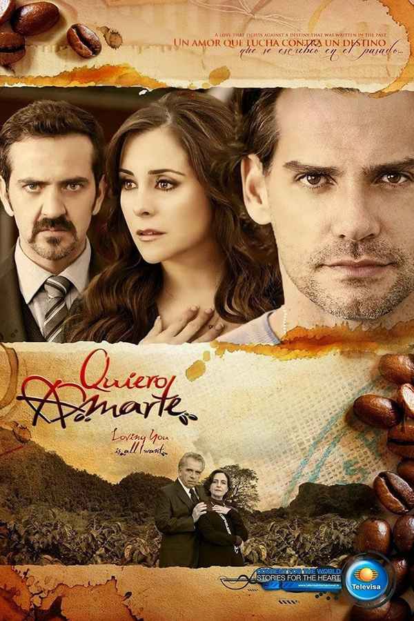 Quiero Amarte Poster 2